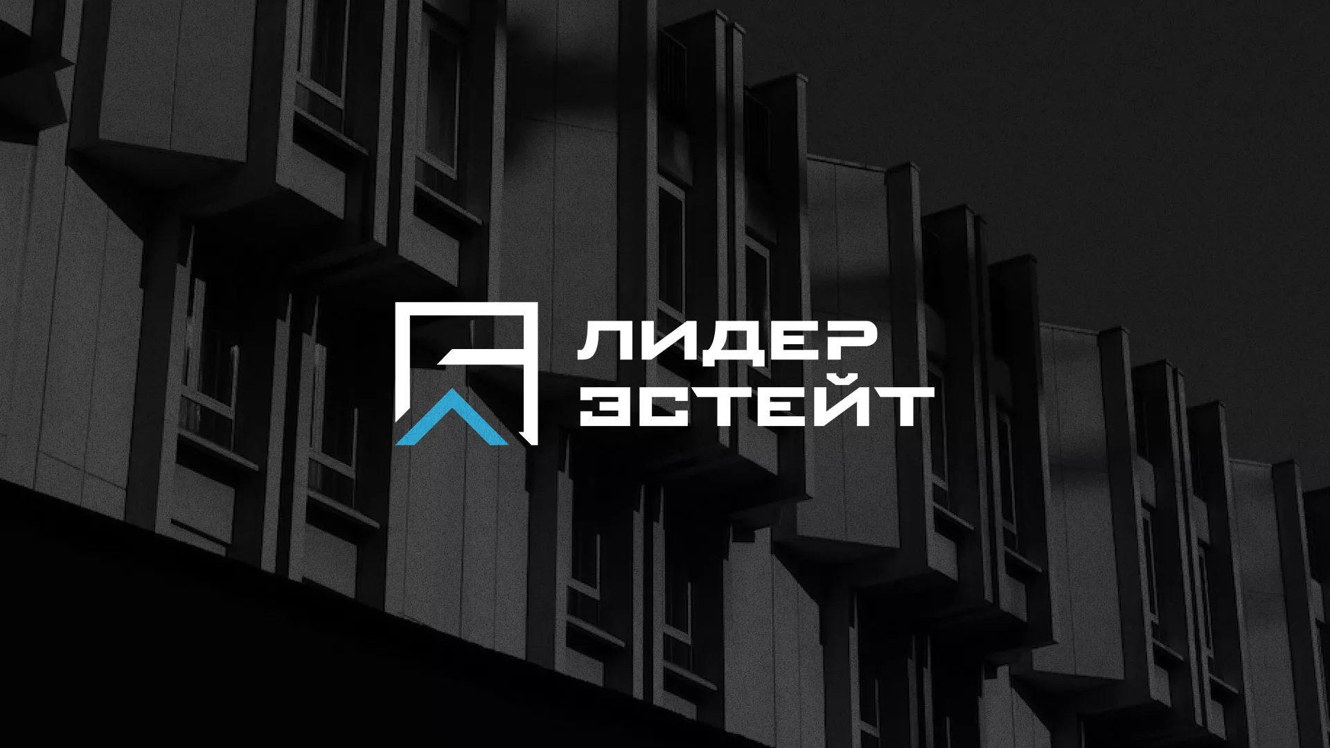 Разработка логотипа агентства недвижимости «Лидер Эстейт» в Вяземском